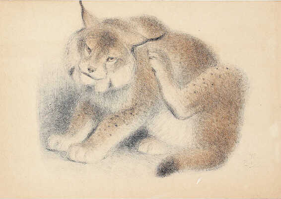 Ватагин Василий Алексеевич. Рысь 